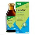 FLORADIX Eisen plus B12 vegan Tonikum