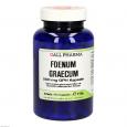 FOENUM GRAECUM 500 mg GPH Kapseln