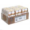 FREBINI Energy Fibre Drink Vanille Trinkflasche
