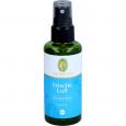FRISCHE LUFT Raumspray Bio
