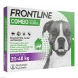 FRONTLINE Combo Spot on Hund L Lsg.z.Auft.a.Haut