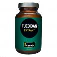 FUCOIDAN Braunalge 600 mg Kapseln