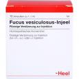 FUCUS VESICULOSUS INJEEL Ampullen