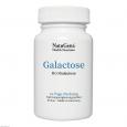 GALACTOSE-D+ hochreine Galactose 6 g vegan Pulver