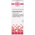 GALEGA officinalis D 4 Dilution