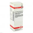 GALEGA officinalis D 6 Dilution