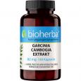 GARCINIA CAMBOGIA Extrakt 80 mg Kapseln