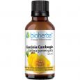 GARCINIA CAMBOGIA Tinktur
