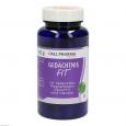 GEDÄCHTNIS-FIT GPH Kapseln