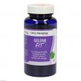 GELENK-FIT GPH Kapseln