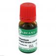 GELSEMIUM SEMPERVIRENS LM 12 Dilution