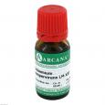 GELSEMIUM SEMPERVIRENS LM 30 Dilution