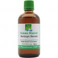 GEMMO-MAZERAT Hartriegel blutrot Tropf.z.Einnehmen