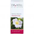 GEMMO-MAZERAT Heckenrose Dr.Koll Rosa canina Tro.