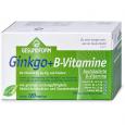 GESUNDFORM Ginkgo-agil VegaCaps Kapseln