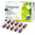 GINGONIN 120 mg Hartkapseln