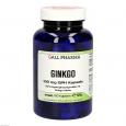 GINKGO 100 mg GPH Kapseln