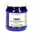 GINKGO 100 mg GPH Kapseln