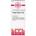 GINKGO BILOBA C 100 Globuli Ind.Fert.