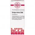 GINKGO BILOBA C 200 Globuli