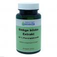 GINKGO BILOBA EXTRAKT 24% Flavonglykoside Kapseln