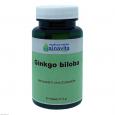 GINKGO BILOBA KAPSELN
