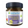 GINKGO BILOBA UND Kurkuma Bio Bienenhonig Mischung