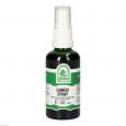 GINKGO SPRAY