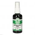 GINSENG EXTRAKT Spray