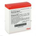 GINSENG INJEEL Ampullen