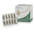 GINSENG SL Hartkapseln