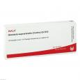 GLANDULA SUPRARENALES cortex GL D 10 Ampullen