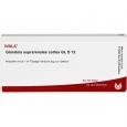 GLANDULA SUPRARENALES cortex GL D 12 Ampullen