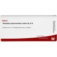 GLANDULA SUPRARENALES cortex GL D 6 Ampullen