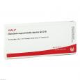 GLANDULA SUPRARENALES dextra GL D 10 Ampullen