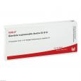 GLANDULA SUPRARENALES dextra GL D 12 Ampullen