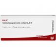 GLANDULA SUPRARENALIS cortex GL D 4 Ampullen