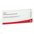GLANDULAE SUPRARENALES GL D 10 Ampullen