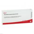 GLANDULAE SUPRARENALES GL D 12 Ampullen