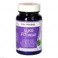 GLUCO-FIT Chelat GPH Kapseln