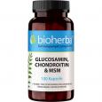 GLUCOSAMIN CHONDROITIN & MSM Kapseln
