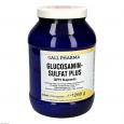 GLUCOSAMINSULFAT PLUS GPH Kapseln