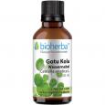 GOTU Kola Tinktur