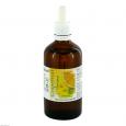 GRAPEFRUIT KERN Extrakt pur