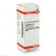 GRAPHITES D 10 Dilution