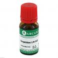 GRAPHITES LM 12 Dilution