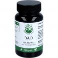 GREEN NATURALS DAO 100mg veg.zum Histaminabbau Kps