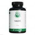 GREEN NATURALS NADH vegan und hochdosiert Kapseln
