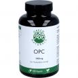 GREEN NATURALS OPC 1000mg aus Traubenkern-Extr.Kps