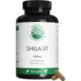 GREEN NATURALS Shilajit 1300mg hochdos.vegan Kaps.